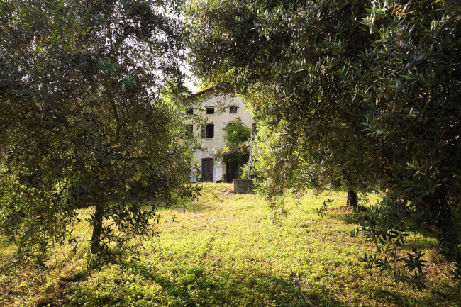 Immagine immobile