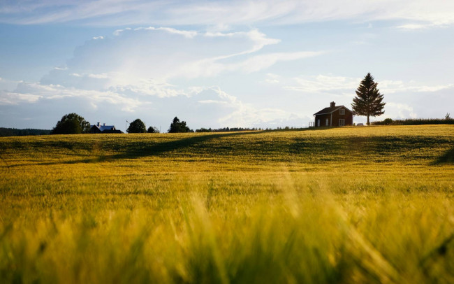 Immagine immobile