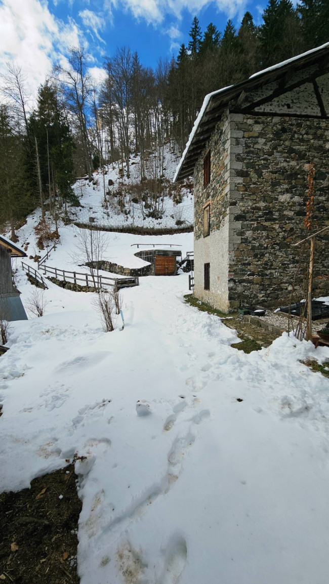 Immagine immobile