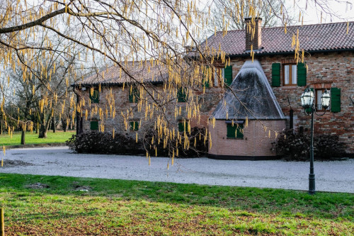 Immagine immobile