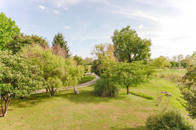 Immagine immobile
